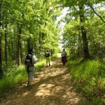 Chemin-de-Saint-Jacques-de-Compostelle-4